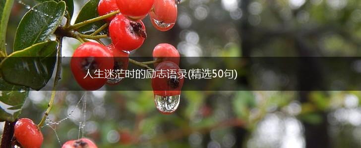人生迷茫时的励志语录(精选50句),第1张