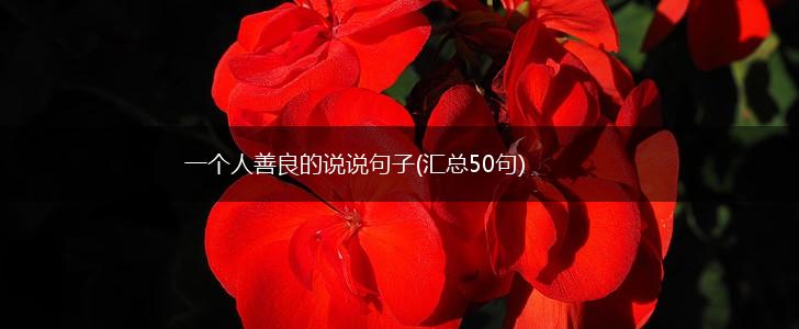 一个人善良的说说句子(汇总50句),第1张
