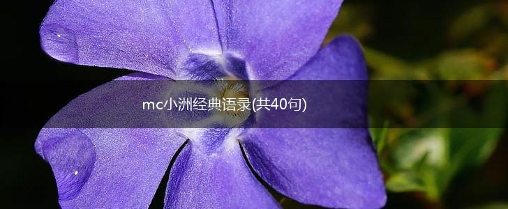 mc小洲经典语录(共40句),第1张