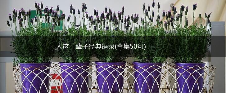 人这一辈子经典语录(合集50句),第1张
