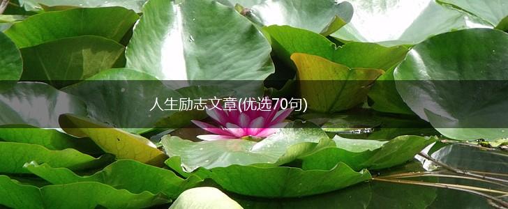 人生励志文章(优选70句),第1张