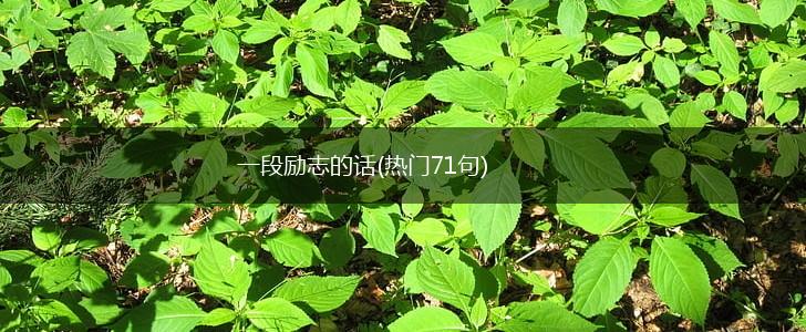 一段励志的话(热门71句),第1张