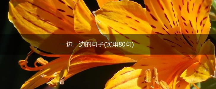 一边一边的句子(实用80句),第1张