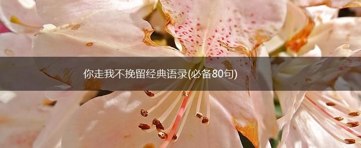 你走我不挽留经典语录(必备80句),第1张