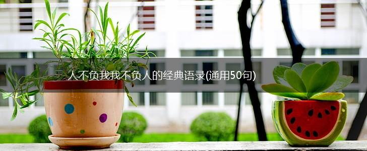 人不负我我不负人的经典语录(通用50句),第1张