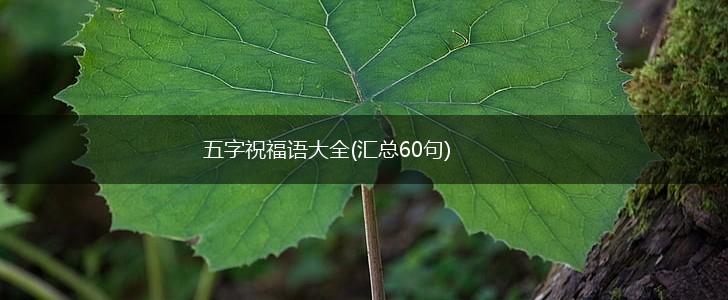 五字祝福语大全(汇总60句),第1张