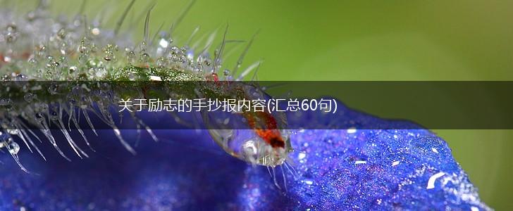 关于励志的手抄报内容(汇总60句),第1张
