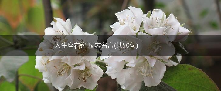 人生座右铭 励志名言(共50句),第1张