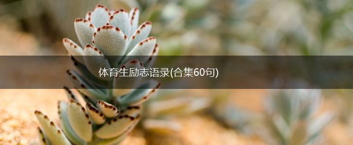 体育生励志语录(合集60句),第1张