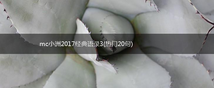 mc小洲2017经典语录3(热门20句),第1张