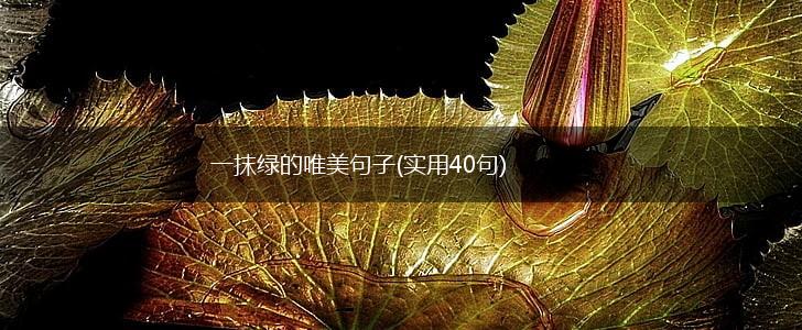 一抹绿的唯美句子(实用40句),第1张