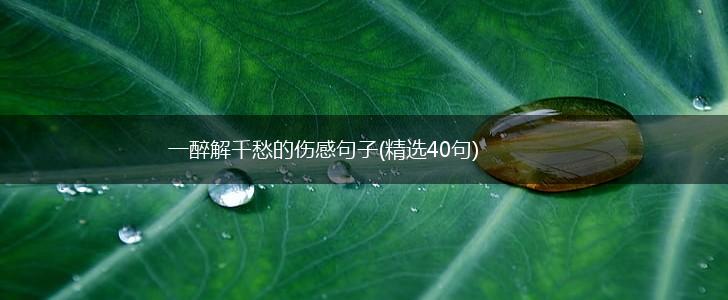 一醉解千愁的伤感句子(精选40句),第1张