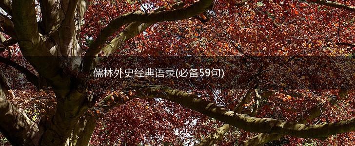 儒林外史经典语录(必备59句),第1张