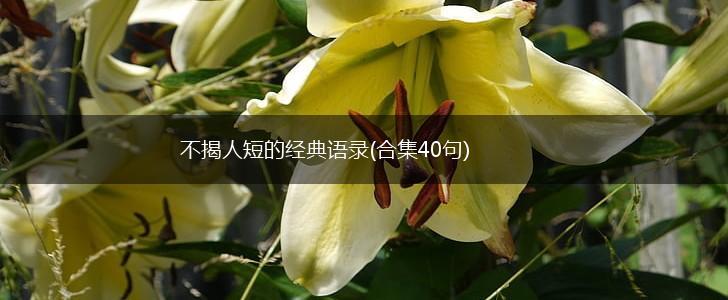 不揭人短的经典语录(合集40句),第1张