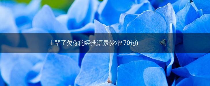 上辈子欠你的经典语录(必备70句),第1张