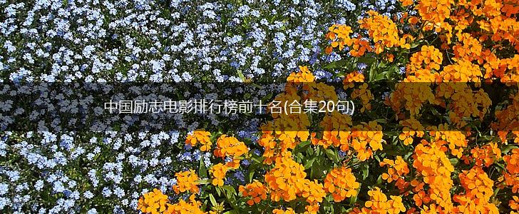 中国励志电影排行榜前十名(合集20句),第1张