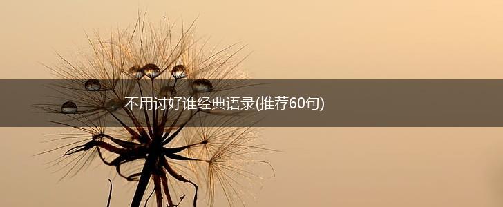 不用讨好谁经典语录(推荐60句),第1张