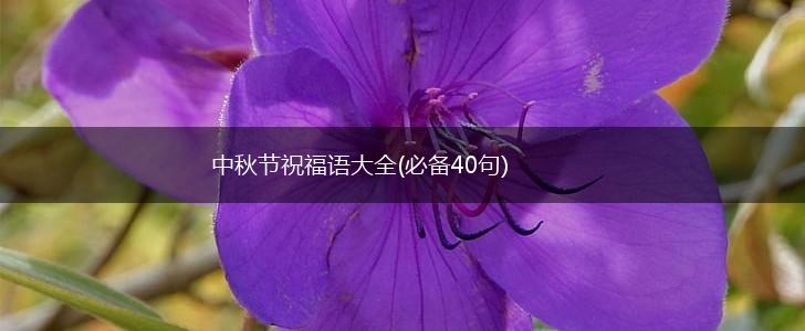中秋节祝福语大全(必备40句),第1张
