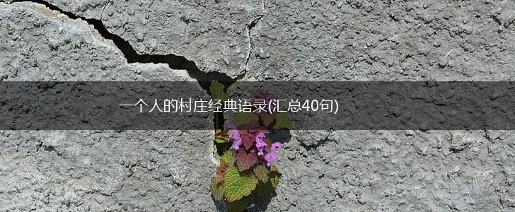 一个人的村庄经典语录(汇总40句),第1张