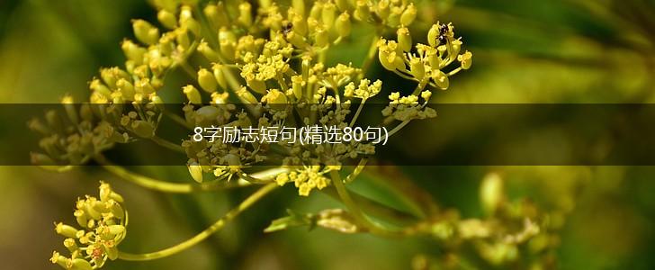8字励志短句(精选80句),第1张