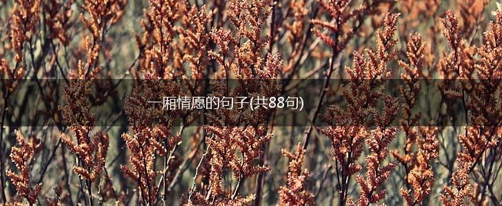 一厢情愿的句子(共88句),第1张