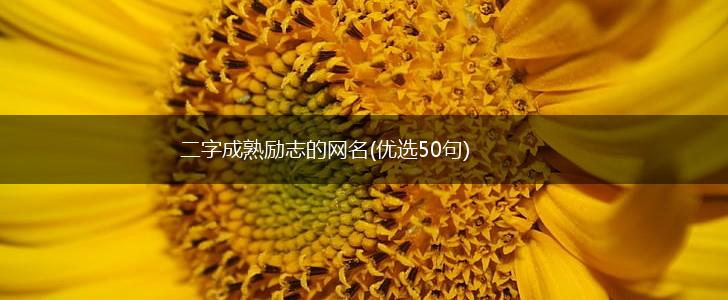 二字成熟励志的网名(优选50句),第1张