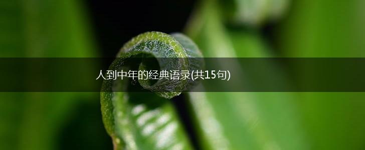 人到中年的经典语录(共15句),第1张