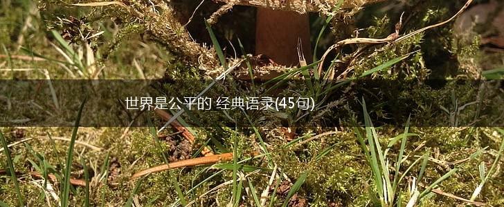 世界是公平的 经典语录(45句),第1张