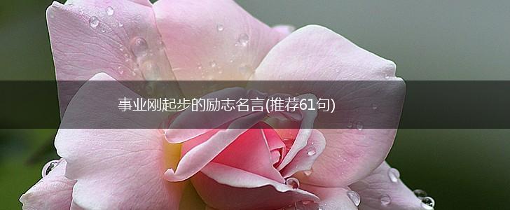 事业刚起步的励志名言(推荐61句),第1张