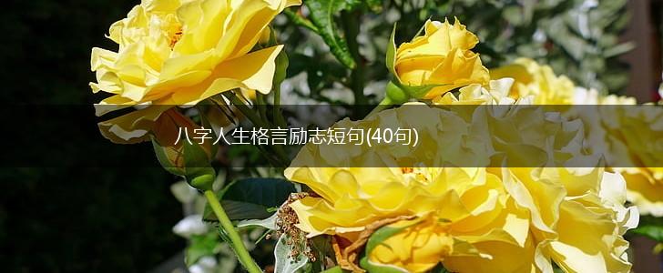 八字人生格言励志短句(40句),第1张