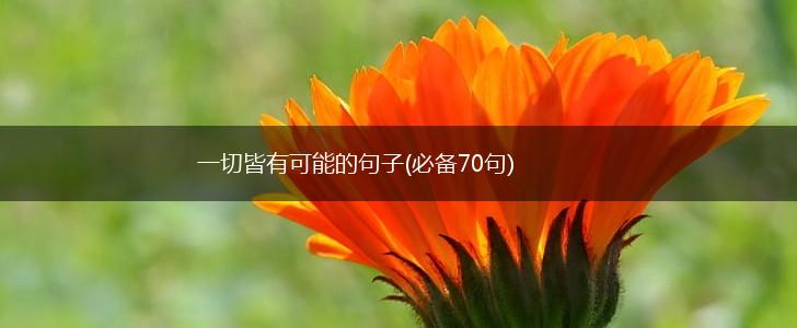一切皆有可能的句子(必备70句),第1张