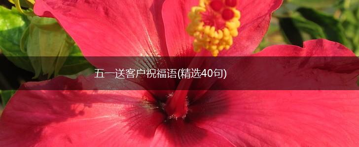 五一送客户祝福语(精选40句),第1张