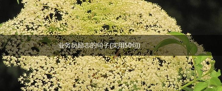业务员励志的句子(实用50句),第1张