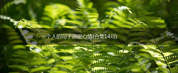一个人的句子说说心情(合集14句),第1张