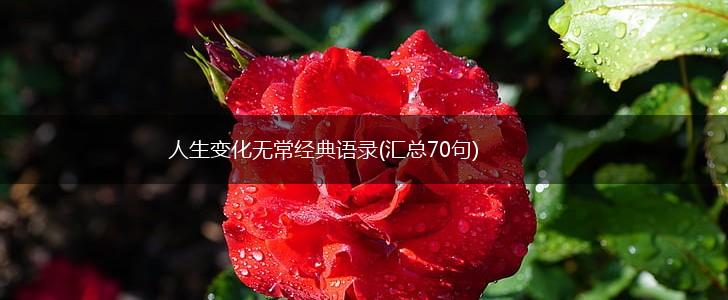 人生变化无常经典语录(汇总70句),第1张