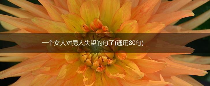 一个女人对男人失望的句子(通用80句),第1张
