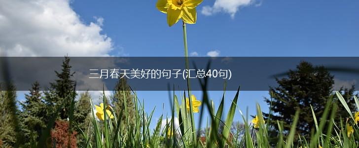 三月春天美好的句子(汇总40句),第1张