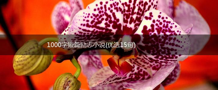 1000字短篇励志小说(优选15句),第1张