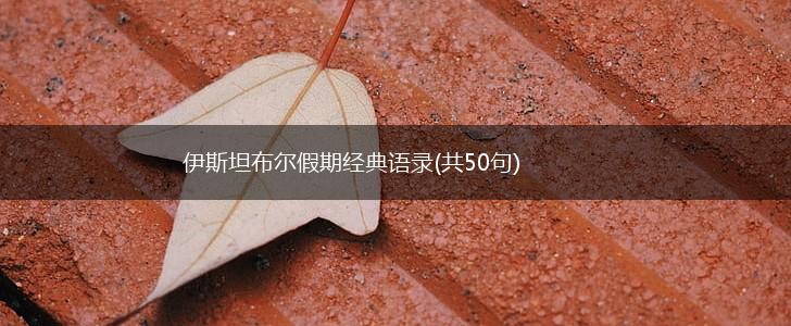 伊斯坦布尔假期经典语录(共50句),第1张