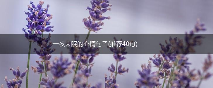 一夜未眠的心情句子(推荐40句),第1张