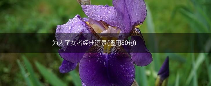 为人子女者经典语录(通用80句),第1张