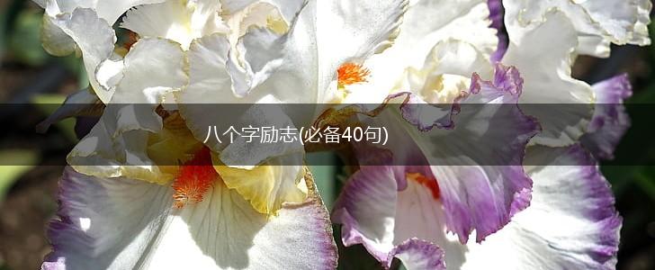 八个字励志(必备40句),第1张