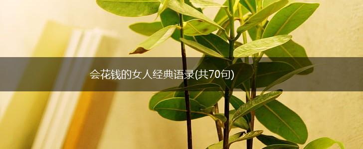 会花钱的女人经典语录(共70句),第1张
