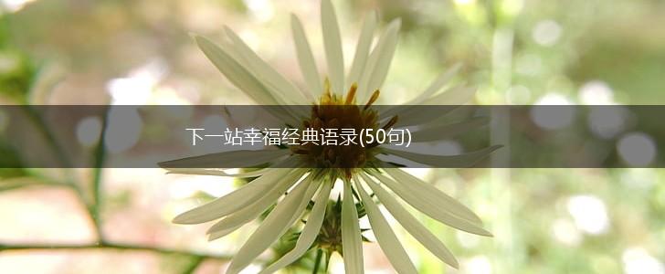 下一站幸福经典语录(50句),第1张