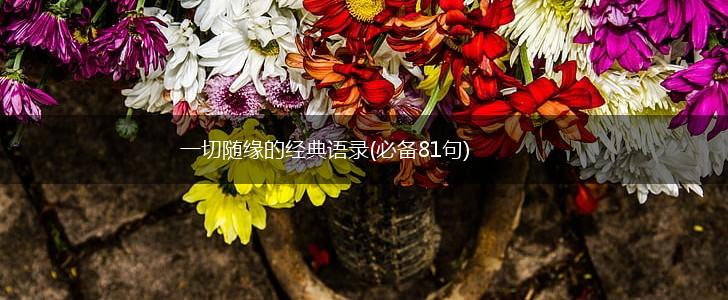 一切随缘的经典语录(必备81句),第1张