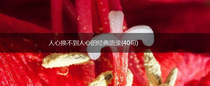 人心换不到人心的经典语录(40句),第1张