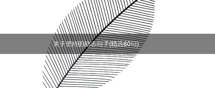 关于坚持的励志句子(精选60句),第1张