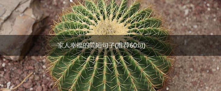 一家人幸福的简短句子(推荐60句),第1张