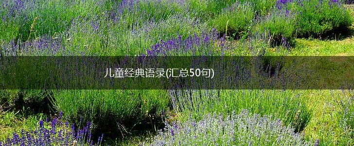 儿童经典语录(汇总50句),第1张