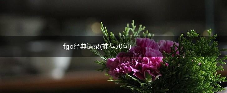 fgo经典语录(推荐50句),第1张